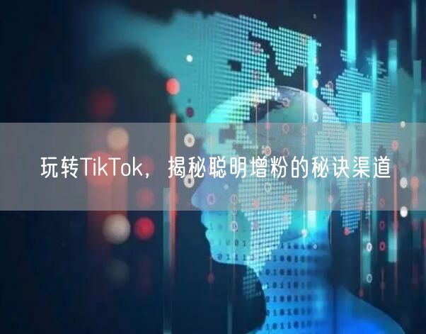 玩转TikTok，揭秘聪明增粉的秘诀渠道