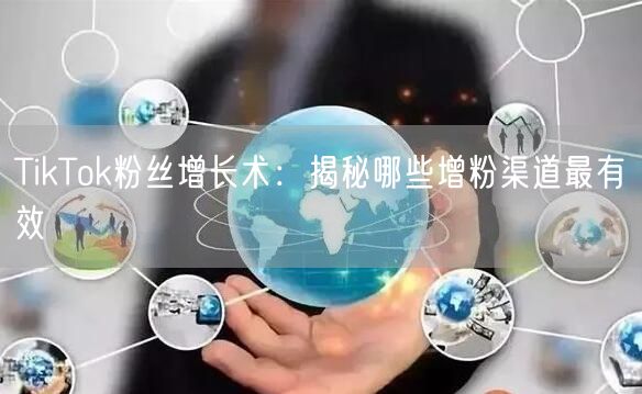 TikTok粉丝增长术：揭秘哪些增粉渠道最有效