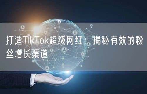 打造TikTok超级网红：揭秘有效的粉丝增长渠道