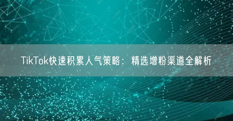 TikTok快速积累人气策略：精选增粉渠道全解析