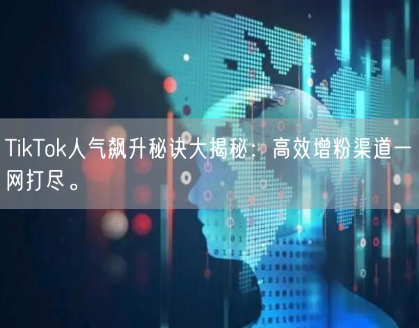 TikTok人气飙升秘诀大揭秘：高效增粉渠道一网打尽。
