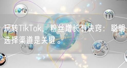 玩转TikTok，粉丝增长有诀窍：聪明选择渠道是关键。