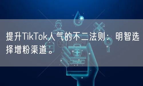 提升TikTok人气的不二法则：明智选择增粉渠道。