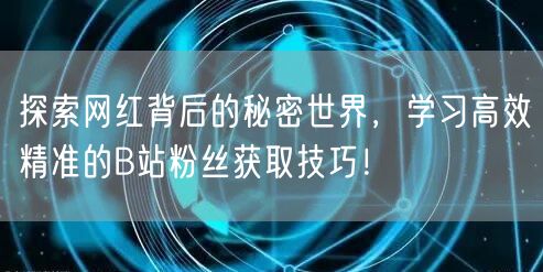探索网红背后的秘密世界，学习高效精准的B站粉丝获取技巧！