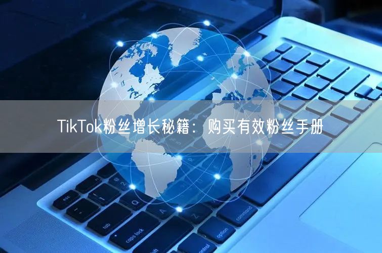 TikTok粉丝增长秘籍：购买有效粉丝手册