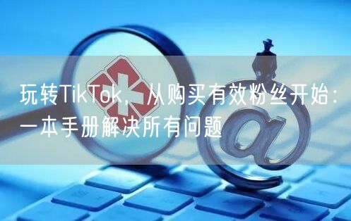玩转TikTok，从购买有效粉丝开始：一本手册解决所有问题