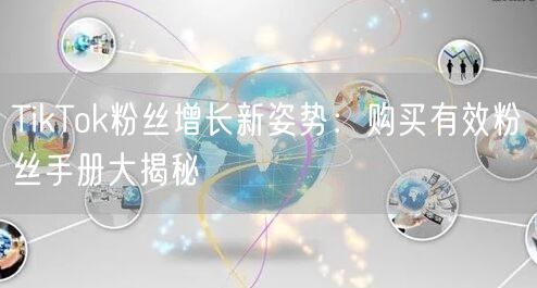 TikTok粉丝增长新姿势：购买有效粉丝手册大揭秘