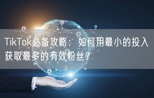 TikTok必备攻略：如何用最小的投入获取最多的有效粉丝？