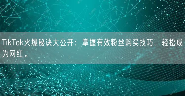 TikTok火爆秘诀大公开：掌握有效粉丝购买技巧，轻松成为网红。