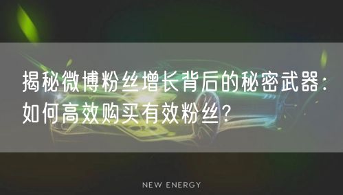 揭秘微博粉丝增长背后的秘密武器：如何高效购买有效粉丝？