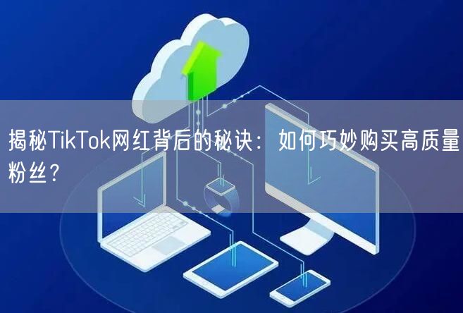 揭秘TikTok网红背后的秘诀：如何巧妙购买高质量粉丝？