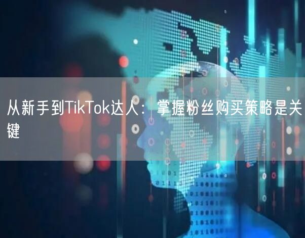 从新手到TikTok达人：掌握粉丝购买策略是关键