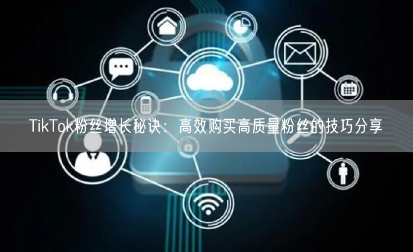 TikTok粉丝增长秘诀：高效购买高质量粉丝的技巧分享
