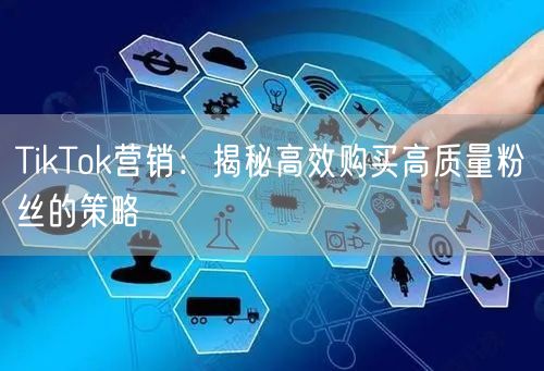 TikTok营销：揭秘高效购买高质量粉丝的策略