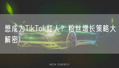 想成为TikTok红人？粉丝增长策略大解密！