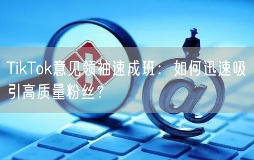 TikTok意见领袖速成班：如何迅速吸引高质量粉丝？