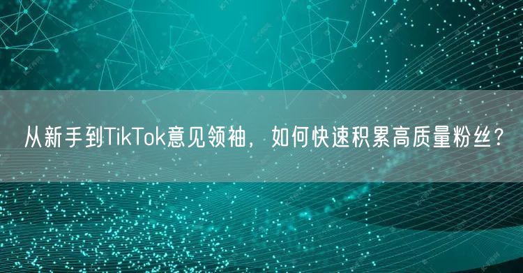 从新手到TikTok意见领袖，如何快速积累高质量粉丝？