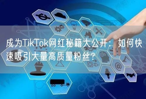 成为TikTok网红秘籍大公开：如何快速吸引大量高质量粉丝？