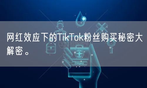 网红效应下的TikTok粉丝购买秘密大解密。