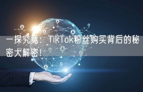一探究竟：TikTok粉丝购买背后的秘密大解密！