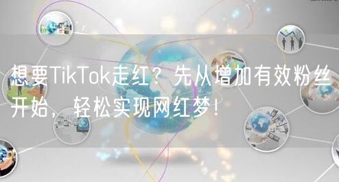 想要TikTok走红？先从增加有效粉丝开始，轻松实现网红梦！