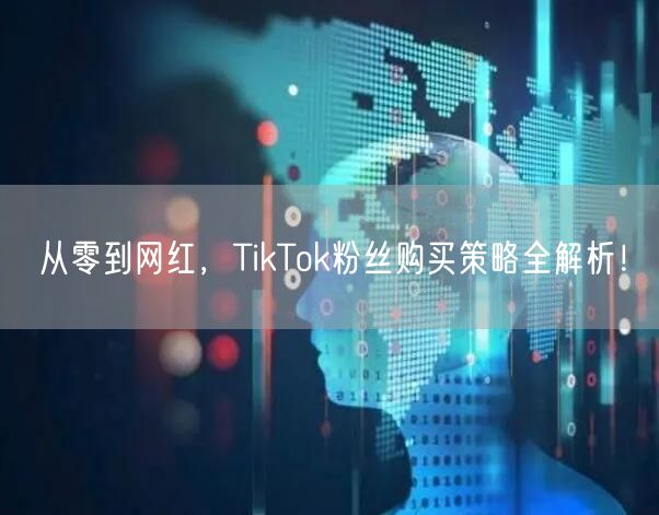 从零到网红，TikTok粉丝购买策略全解析！