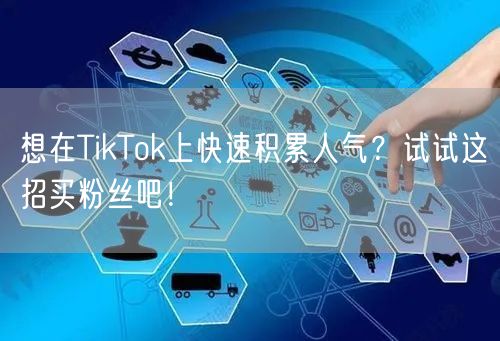 想在TikTok上快速积累人气？试试这招买粉丝吧！