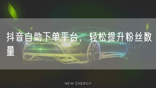 抖音自助下单平台，轻松提升粉丝数量