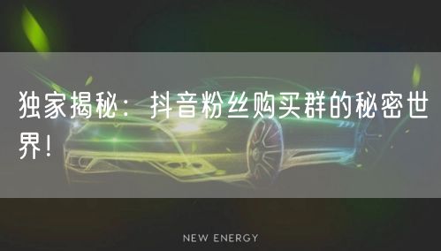 独家揭秘：抖音粉丝购买群的秘密世界！