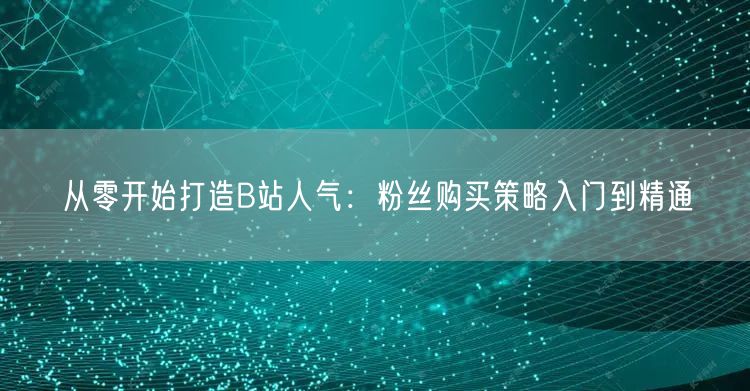 从零开始打造B站人气：粉丝购买策略入门到精通