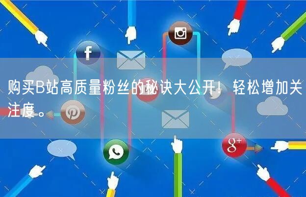 购买B站高质量粉丝的秘诀大公开！轻松增加关注度。