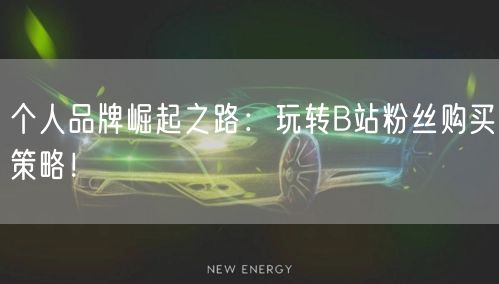 个人品牌崛起之路：玩转B站粉丝购买策略！