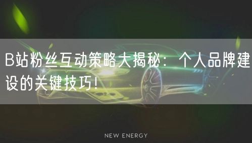 B站粉丝互动策略大揭秘：个人品牌建设的关键技巧！