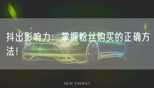 抖出影响力：掌握粉丝购买的正确方法！