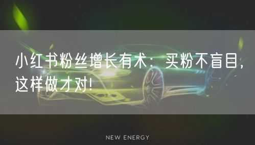 小红书粉丝增长有术：买粉不盲目，这样做才对!