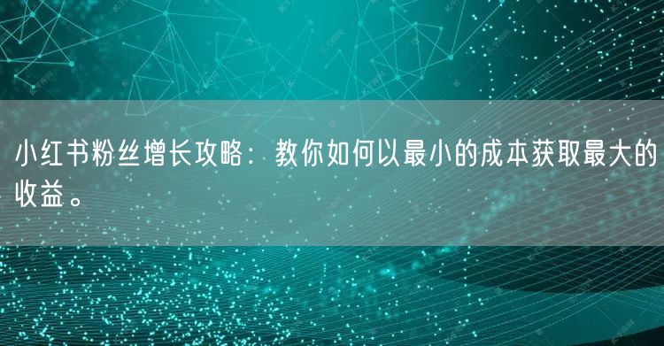 小红书粉丝增长攻略：教你如何以最小的成本获取最大的收益。