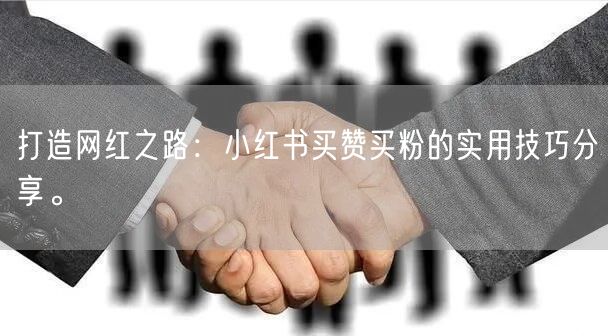 打造网红之路：小红书买赞买粉的实用技巧分享。