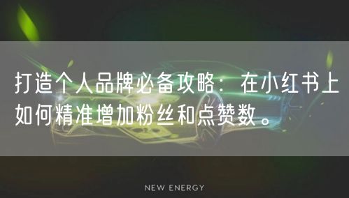 打造个人品牌必备攻略：在小红书上如何精准增加粉丝和点赞数。