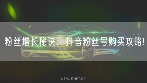 粉丝增长秘诀：抖音粉丝号购买攻略!