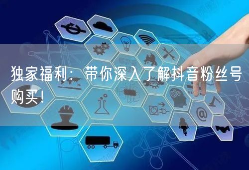 独家福利：带你深入了解抖音粉丝号购买！