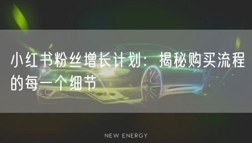 小红书粉丝增长计划：揭秘购买流程的每一个细节