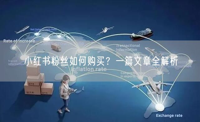 小红书粉丝如何购买？一篇文章全解析