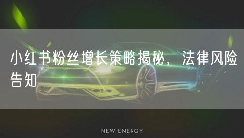 小红书粉丝增长策略揭秘，法律风险告知