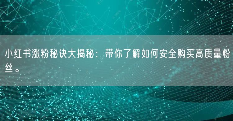 小红书涨粉秘诀大揭秘：带你了解如何安全购买高质量粉丝。