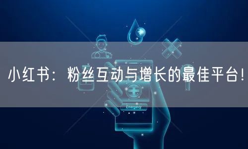 小红书：粉丝互动与增长的最佳平台！