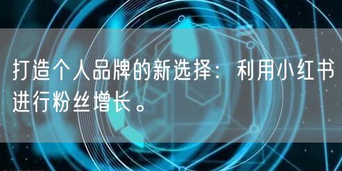 打造个人品牌的新选择：利用小红书进行粉丝增长。