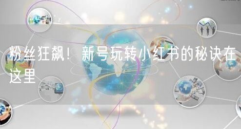粉丝狂飙！新号玩转小红书的秘诀在这里