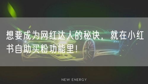 想要成为网红达人的秘诀，就在小红书自助买粉功能里！