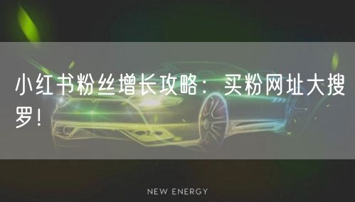 小红书粉丝增长攻略：买粉网址大搜罗！