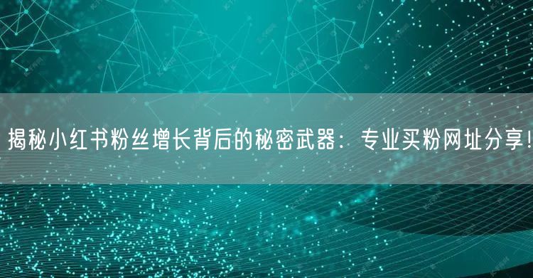 揭秘小红书粉丝增长背后的秘密武器：专业买粉网址分享！